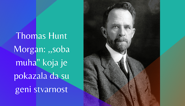 Gospodar mušica: Thomas Hunt Morgan