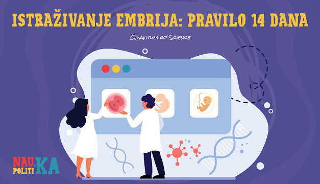 Etika, zakoni i istraživanje embrija: pravilo 14 dana