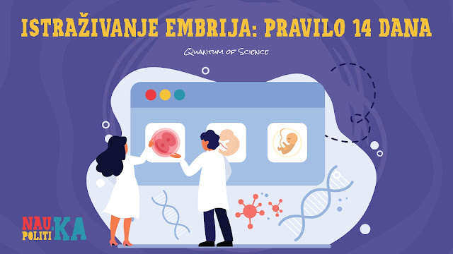 Etika, zakoni i istraživanje embrija: pravilo 14 dana