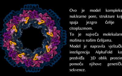 AlphaFold: rješava enigme proteina