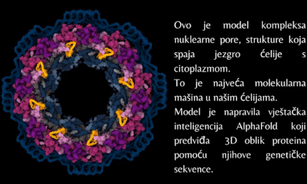 AlphaFold: rješava enigme proteina
