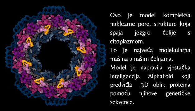 AlphaFold: rješava enigme proteina