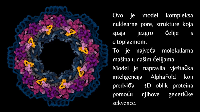 AlphaFold: rješava enigme proteina