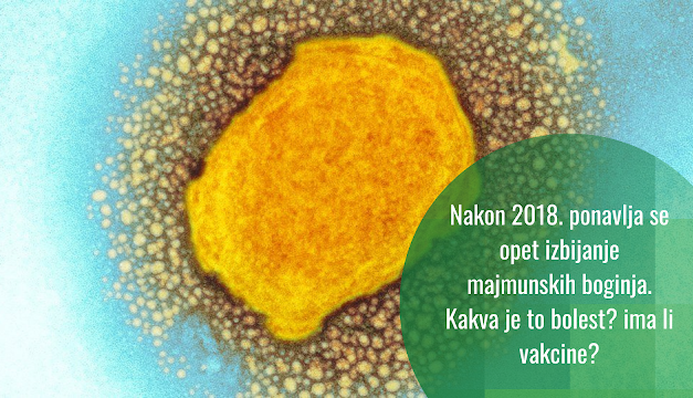 Slučajevi majmunskih boginja 2022.