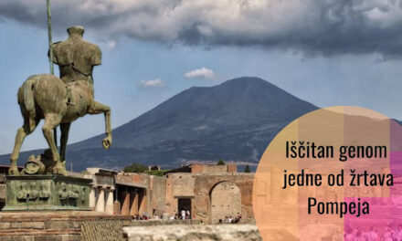 Naučnici analizirali cijeli genom jedne žrtve Pompeja