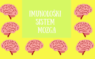 Imunološki sistem mozga