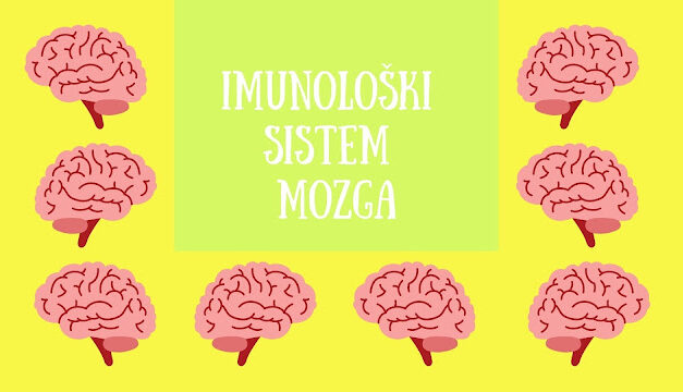 Imunološki sistem mozga