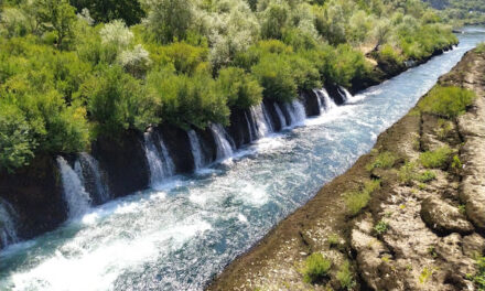 Bitka za Bunske kanale: endemične vrste i voda u kandžama mini hidrocentrala