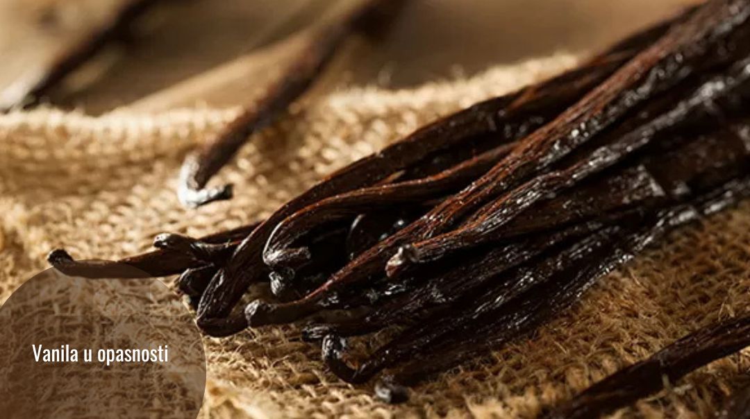 Nauka i vanila: omiljena aroma u opasnosti