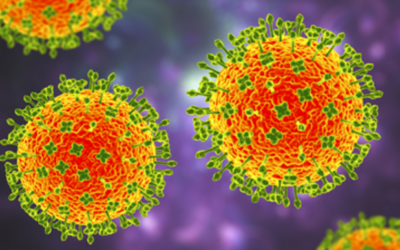 Langya virus: šta znamo i zašto ga treba pratiti?
