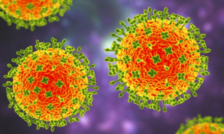 Langya virus: šta znamo i zašto ga treba pratiti?