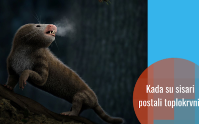 Naučnici odredili kada su nastale toplokrvne životinje