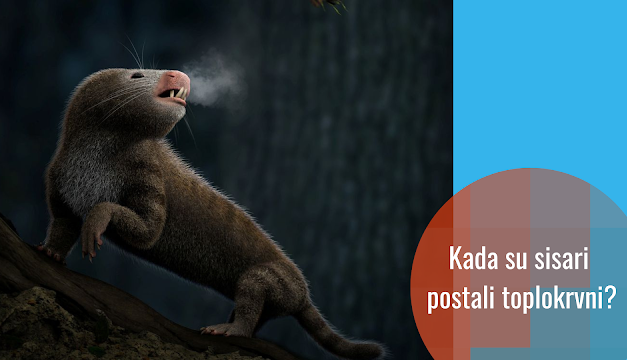 Naučnici odredili kada su nastale toplokrvne životinje