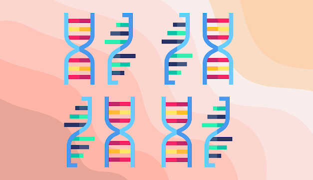 Biosinteza proteina: uloga DNK i RNK