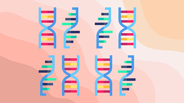 Biosinteza proteina: uloga DNK i RNK