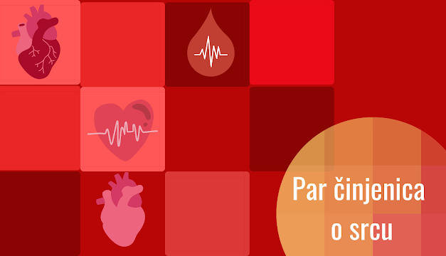 Činjenice o srcu