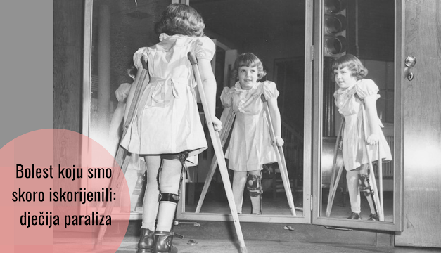 Istorija istraživanja polia i vakcina protiv ove bolesti