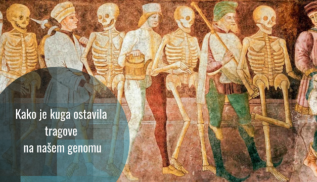Kako je pandemija kuge ostavila tragove na ljudskom genomu i imunološkom sistemu