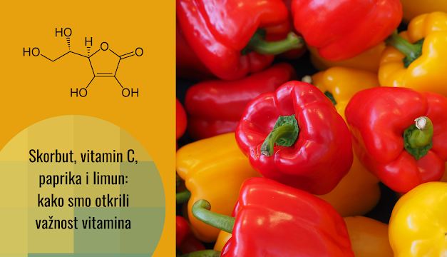 Otkriće i važnost vitamina C: paprika i hemija