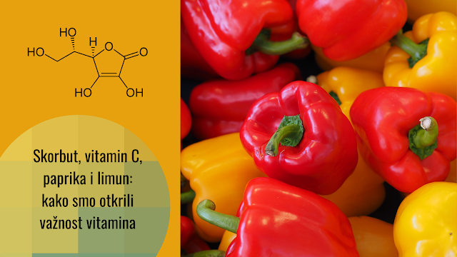 Otkriće i važnost vitamina C: paprika i hemija
