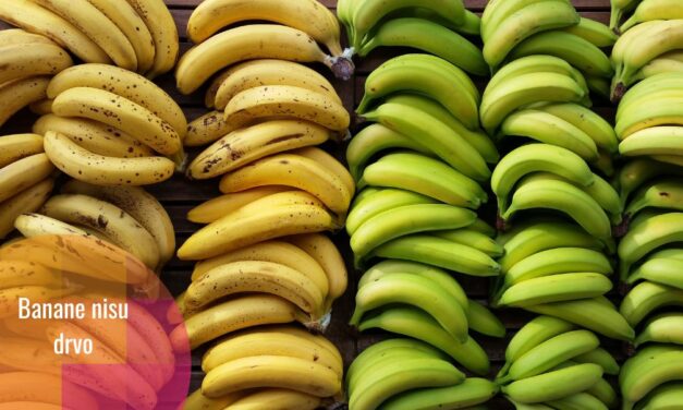 Banane: 6 stvari o njima