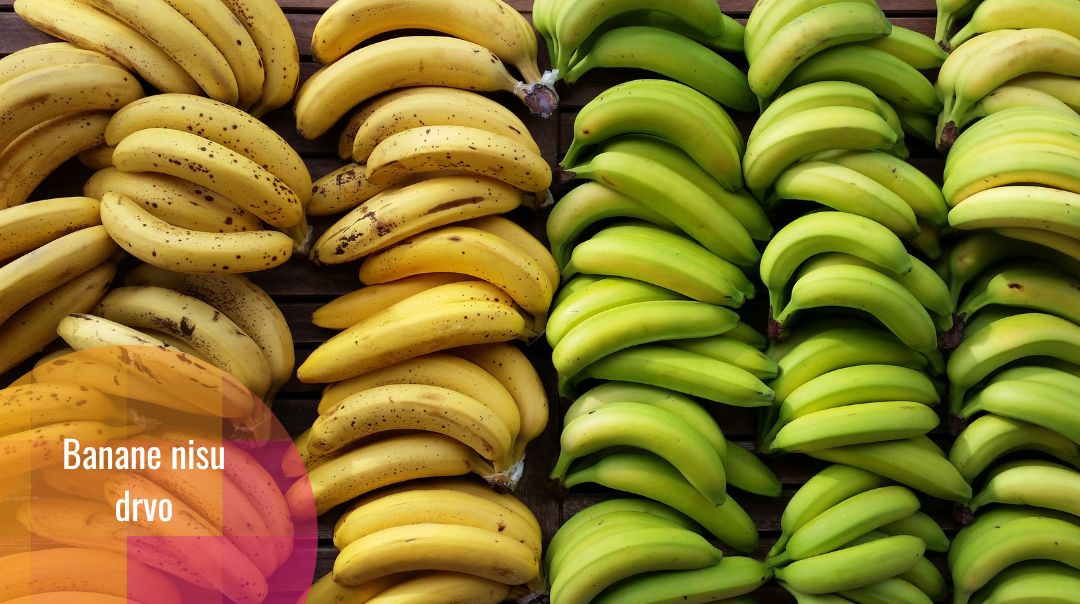 Banane: 6 stvari o njima