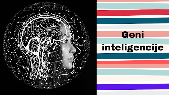 Gen za inteligenciju ne postoji