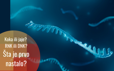 Porijeklo života: RNK svijet