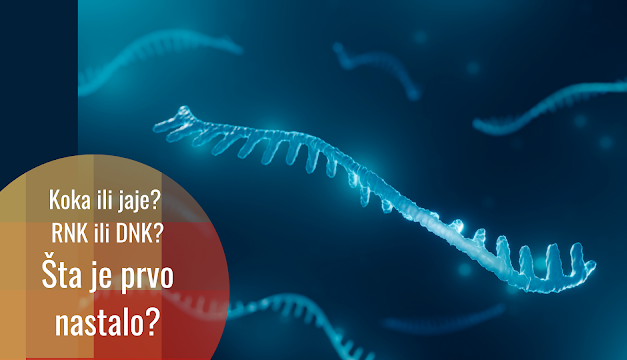 Porijeklo života: RNK svijet