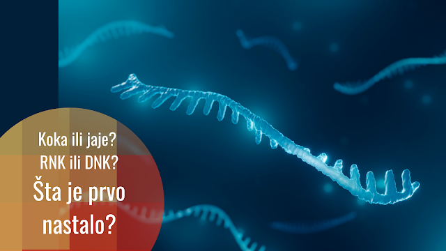 Porijeklo života: RNK svijet