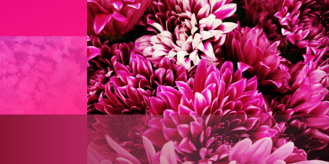 Magenta – boja koje nema ili ima?