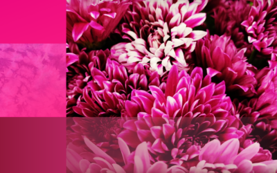 Magenta: Colour That Not Exist, but It Exists