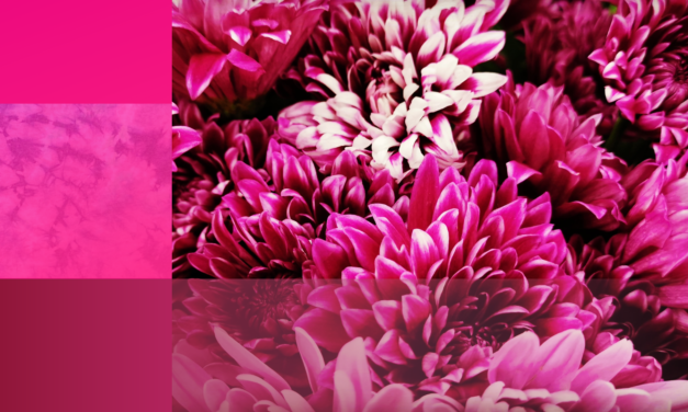 Magenta – boja koje nema ili ima?