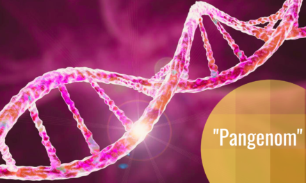 Ljudski pangenom: pokušaj inkluzivnijeg sekvenciranja humanog genoma