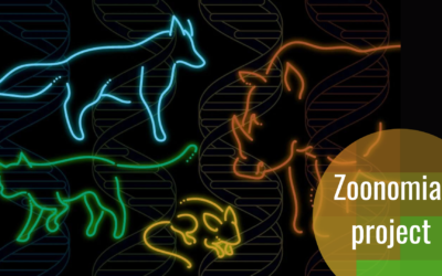 Projekt Zoonomija: sekvenciranje genoma sisara