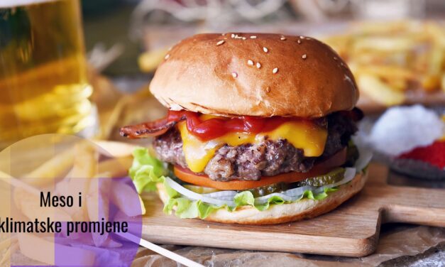 Konzumacija crvenog mesa nije dobra po klimu. Da li onda trebamo svi postati vegani?
