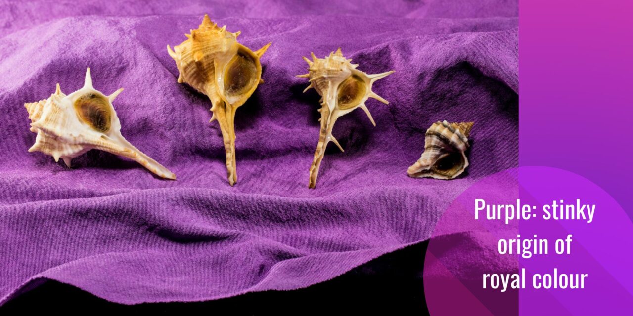 How We Fell in Love With Purple, “Evil” Colour?