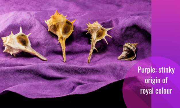 How We Fell in Love With Purple, “Evil” Colour?