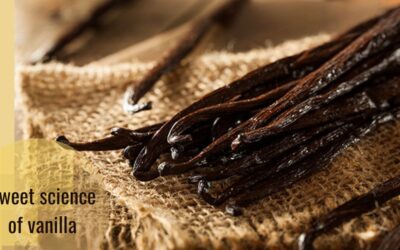 Science and Vanilla: A Favorite Flavor in Danger