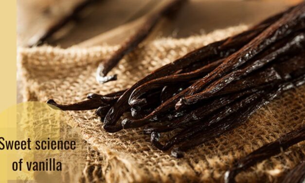 Science and Vanilla: A Favorite Flavor in Danger