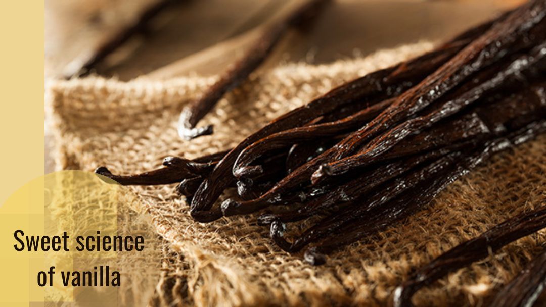 Science and Vanilla: A Favorite Flavor in Danger