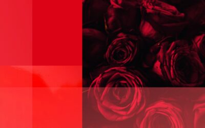 There Is Something in Red: What Attracts Us So Much to Shades of Red?