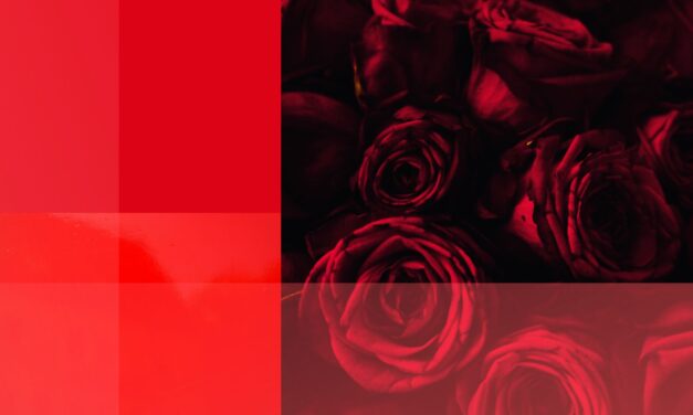 There Is Something in Red: What Attracts Us So Much to Shades of Red?