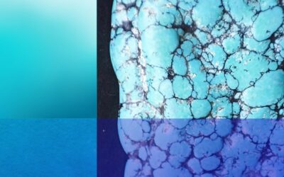 Turquoise: A Gorgeous Shade of Green-Blue