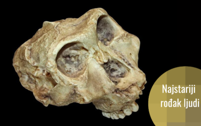 Najstariji genetički podaci o drevnom rođaku ljudi pronađeni u zubima starim 2 miliona godina – Paranthropus robustus