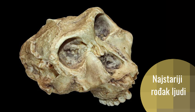 Najstariji genetički podaci o drevnom rođaku ljudi pronađeni u zubima starim 2 miliona godina – Paranthropus robustus