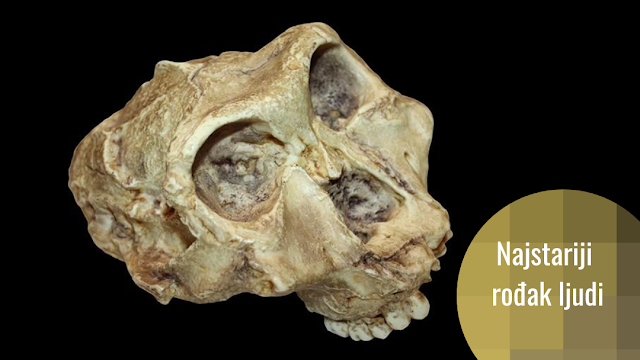 Najstariji genetički podaci o drevnom rođaku ljudi pronađeni u zubima starim 2 miliona godina – Paranthropus robustus