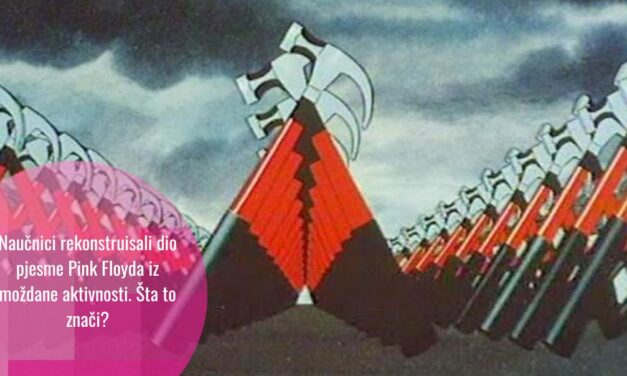 Naučnici rekonstruisali pjesmu Pink Floyda iz moždane aktivnosti