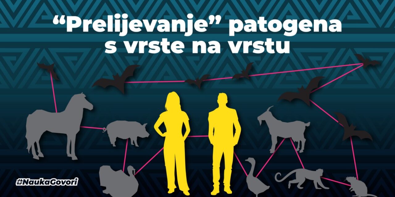 “Prelijevanje patogena” s vrste na vrstu – i šta s tim?