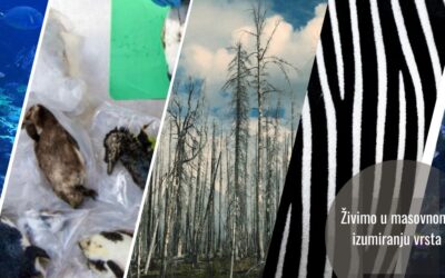 Nalazimo se u šestom masovnom izumiranju. I ono se dešava brže i burnije nego prethodna
